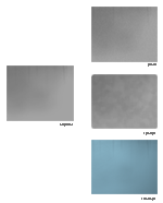 pr207a.gif (8964 octets)
